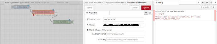 Node-red%20security%20certificate